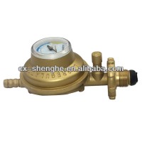 safety regulator gas lpg